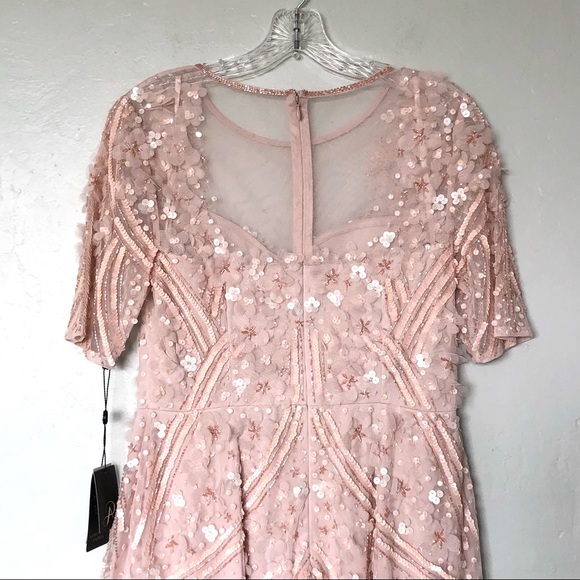 Adrianna Papell 3D Floral Embellishments Midi Cocktail Dress in Shell/Pink - Picture 4 of 14